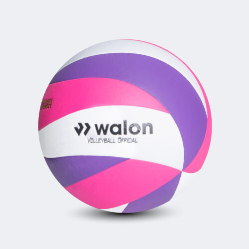 Pelota Vóley Temi